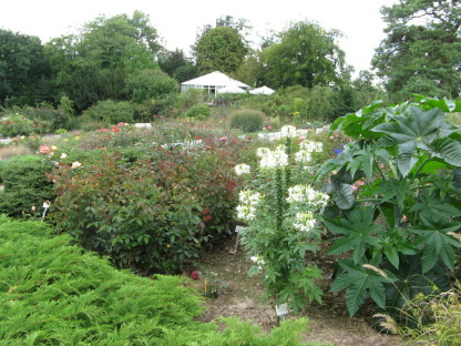 Rosarium Sangerhausen